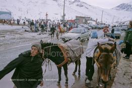 Image du Maroc Professionnelle de  Des jeunes berbères proposent des balades à dos de mules près de la station de ski de l'Oukaimden située su la chaine de montagne du du haut Atlas, Samedi 22 Février 1987. (Photo / Abdeljalil Bounhar) 